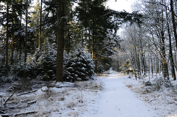 04. Winterlandschap_XL